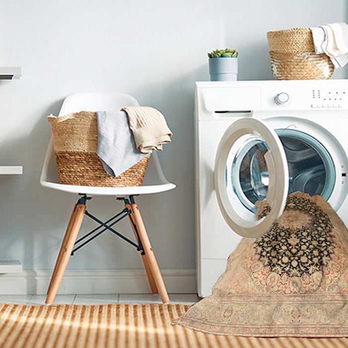 Machine Washable Traditional Saddle Brown Rug in a Washing Machine, wshtr10