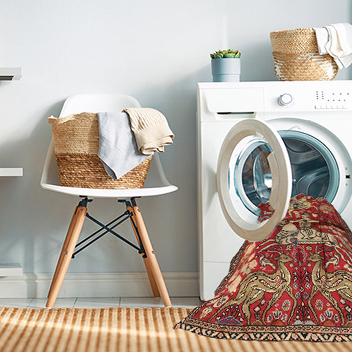 Machine Washable Traditional Sand Brown Rug in a Washing Machine, wshtr1109
