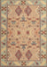 Traditional Rust Pink Persian Rug, tr1119