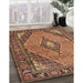 Traditional Brown Medallion Rug in Family Room, tr1172