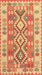 Traditional Orange Red Southwestern Rug, tr1175