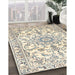 Machine Washable Traditional Vanilla Gold Rug in a Family Room, wshtr1177