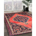 Traditional Orange Salmon Pink Medallion Rug in Family Room, tr1189