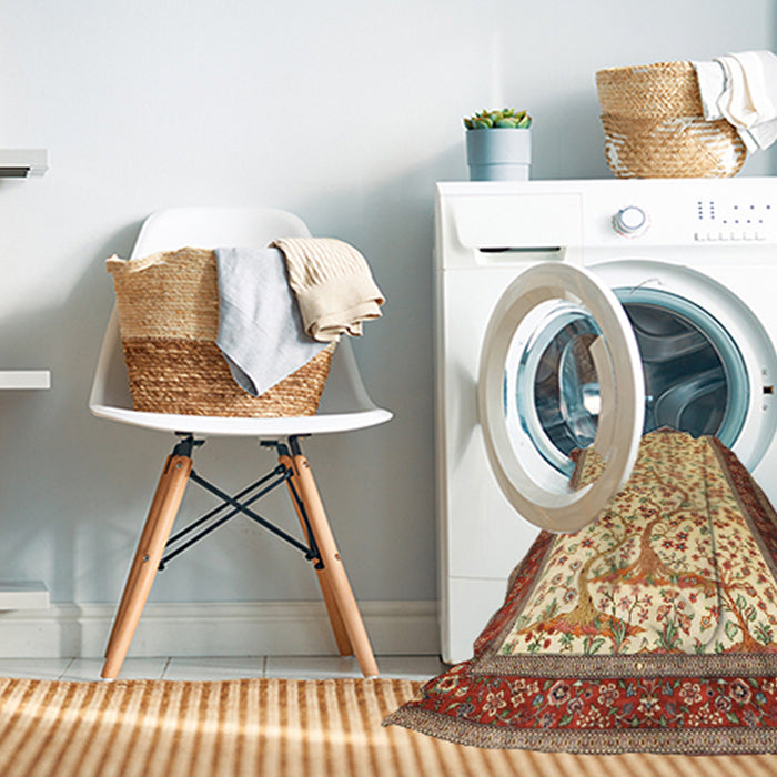 Machine Washable Traditional Mahogany Brown Rug in a Washing Machine, wshtr118