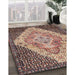 Traditional Reddish Brown Medallion Rug in Family Room, tr1191