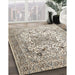 Traditional Army Brown Medallion Rug in Family Room, tr1192