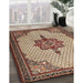 Machine Washable Traditional Red Brown Rug in a Family Room, wshtr1193