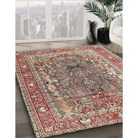 Traditional Light French Beige Brown Persian Rug, tr1195