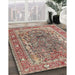 Traditional Light French Beige Brown Persian Rug in Family Room, tr1195