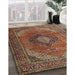 Traditional Saffron Red Medallion Rug in Family Room, tr1199