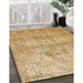 Traditional Chrome Gold Yellow Persian Rug in Family Room, tr119