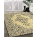 Machine Washable Traditional Dark Moccasin Green Rug in a Family Room, wshtr1200