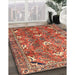 Machine Washable Traditional Sand Brown Rug in a Family Room, wshtr1206