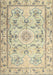 Traditional Brown Gold Medallion Rug, tr1224