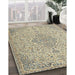 Machine Washable Traditional Khaki Gold Rug in a Family Room, wshtr1235