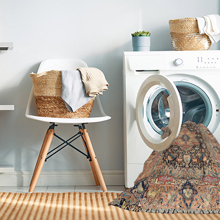 Machine Washable Traditional Sepia Brown Rug in a Washing Machine, wshtr1241
