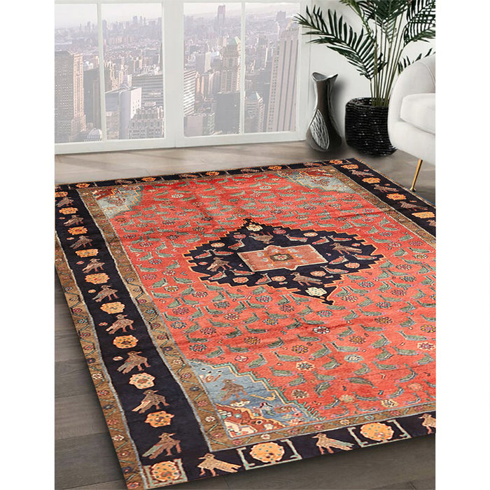 Traditional Brown Red Medallion Rug in Family Room, tr1244