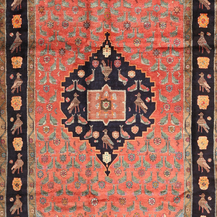 Traditional Brown Red Medallion Rug, tr1244