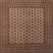 Square Traditional Dark Sienna Brown Persian Rug, tr1259