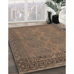 Traditional Brown Persian Rug in Family Room, tr1260