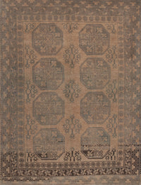 Machine Washable Traditional Brown Rug, wshtr1260