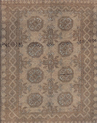 Machine Washable Traditional Brown Rug, wshtr1262