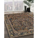 Traditional Dark Almond Brown Persian Rug in Family Room, tr130