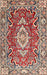 Traditional Brown Red Medallion Rug, tr1311