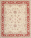 Traditional Deep Peach Orange Oriental Rug, tr1316