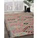 Traditional Rust Pink Persian Rug in Family Room, tr1318