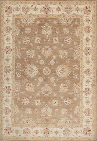 Machine Washable Traditional Brown Rug, wshtr1328