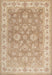 Machine Washable Traditional Brown Rug, wshtr1328