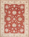 Traditional Bright Orange Oriental Rug, tr1329