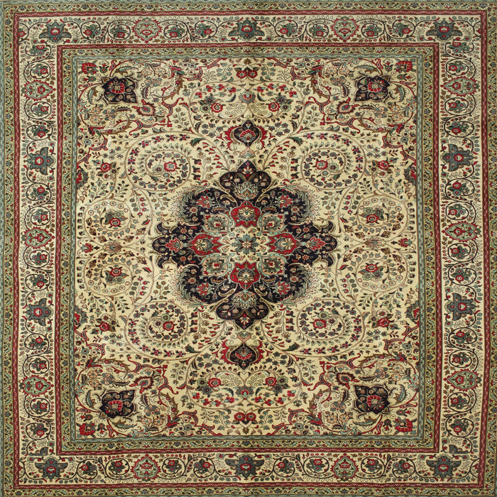 Square Traditional Brownish Green Medallion Rug, tr132