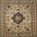 Square Traditional Brownish Green Medallion Rug, tr132