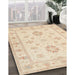 Traditional Golden Blonde Gold Oriental Rug in Family Room, tr1330