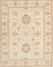 Traditional Golden Blonde Gold Oriental Rug, tr1330