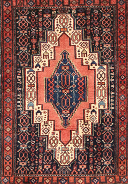 Machine Washable Traditional Rust Pink Rug, wshtr1331