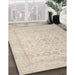 Machine Washable Traditional Tan Brown Rug in a Family Room, wshtr1335
