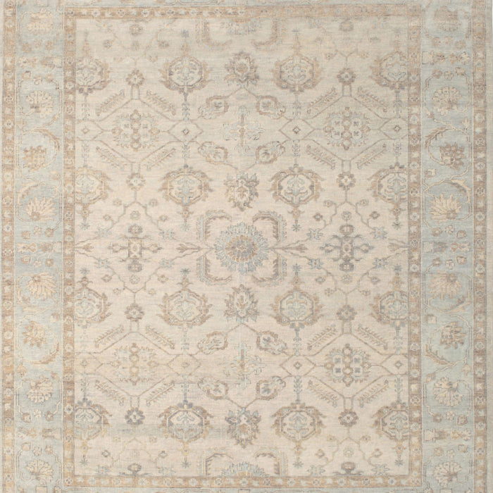 Traditional Tan Brown Oriental Rug, tr1335