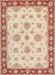 Machine Washable Traditional Orange Rug, wshtr1345