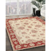 Machine Washable Traditional Orange Rug in a Family Room, wshtr1345