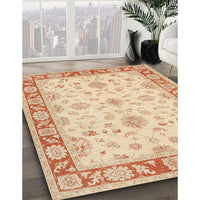 Traditional Brown Gold Oriental Rug, tr1351