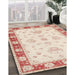 Machine Washable Traditional Orange Rug in a Family Room, wshtr1362