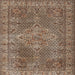 Square Traditional Camel Brown Persian Rug, tr1366