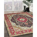 Traditional Brown Red Medallion Rug in Family Room, tr136