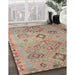 Traditional Rust Pink Persian Rug in Family Room, tr1374