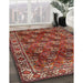 Traditional Red Persian Rug in Family Room, tr1377