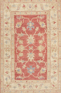 Machine Washable Traditional Brown Rug, wshtr1390