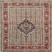 Square Traditional Tan Brown Medallion Rug, tr1418